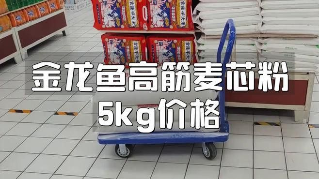 金龍魚白面多少錢一袋