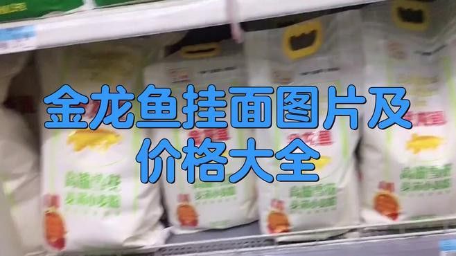 金龍魚白面多少錢一袋