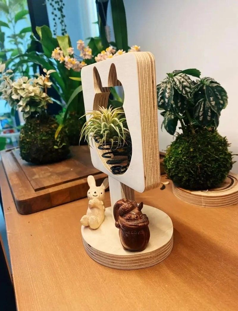龍貓散養有哪些潛在風險？