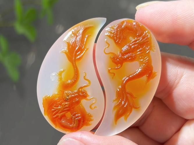 龍魚配什么魚最好看圖片大全