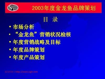 金龍魚營(yíng)銷策略分析報(bào)告總結(jié)（金龍魚國(guó)際市場(chǎng)的競(jìng)爭(zhēng)策略）
