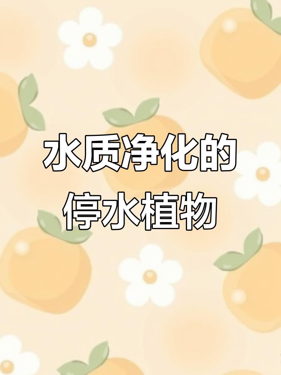 哪些植物能凈化水質？
