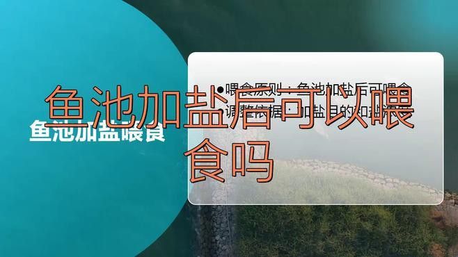 龍魚加鹽后需要停食嗎？