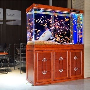 超大龍魚缸（養龍魚要用多大的缸？）