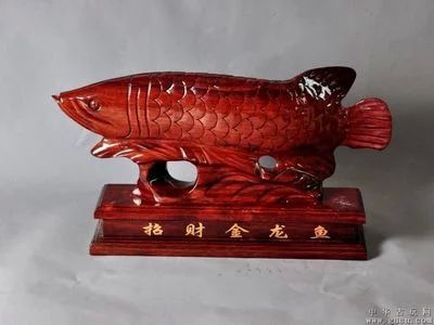 最貴金龍魚(yú)拍賣(mài)（金龍魚(yú)在拍賣(mài)中的最高價(jià)格是7萬(wàn)元人民幣，這一價(jià)格是7萬(wàn)元人民幣）