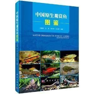 龍魚常見品種飼養與現狀研究論文怎么寫（“龍魚常見品種飼養與現狀研究”論文的撰寫思路）