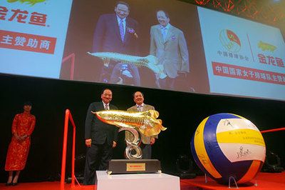 古典金龍魚等級區(qū)分圖解（古典金龍魚的等級區(qū)分）