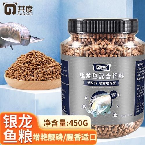 銀龍魚的飼養方法和配方圖片