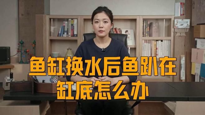 金龍魚換水多趴缸怎么辦