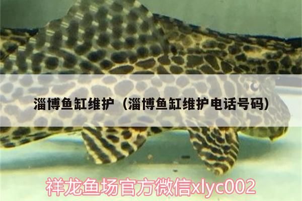 <strong><mark>淄博</mark></strong>魚缸維護(hù)（<strong><mark>淄博</mark></strong>魚缸維護(hù)電話號(hào)碼）