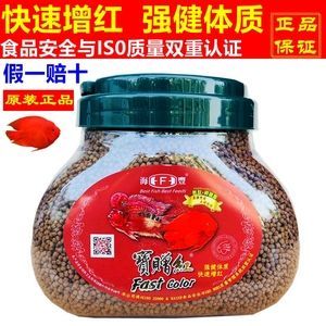 小龍魚吃什么飼料最好養：小龍魚吃什么飼料最好養小龍魚吃什么飼料最好養