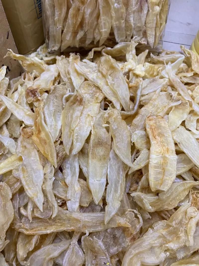 正宗金龍魚膠圖片大全高清