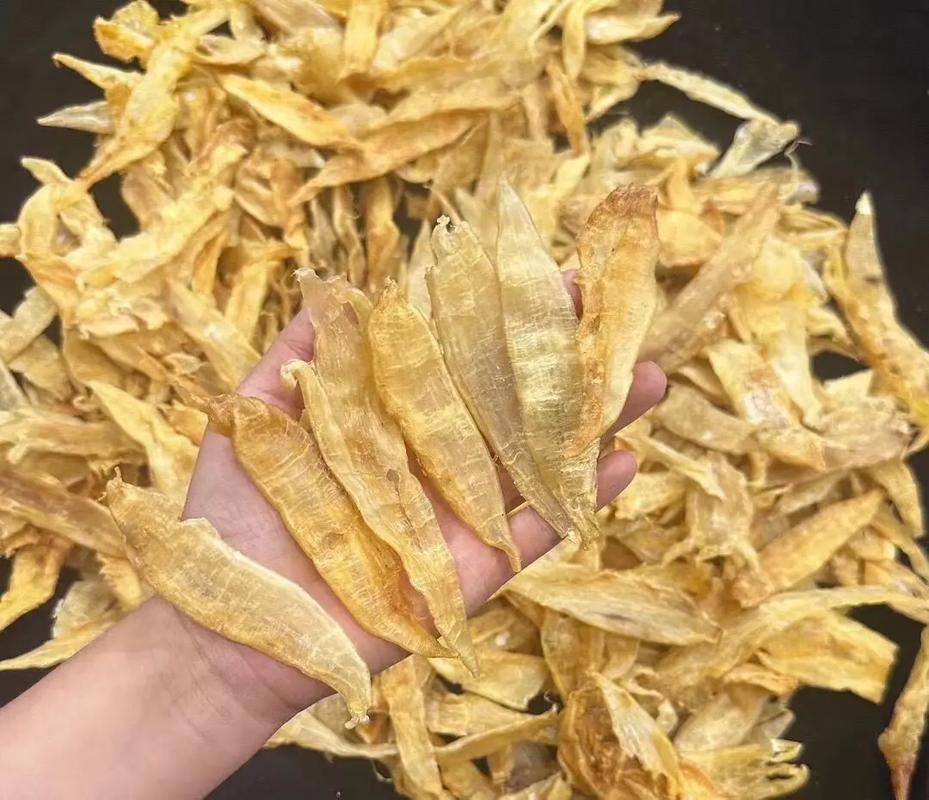 正宗金龍魚膠圖片大全高清