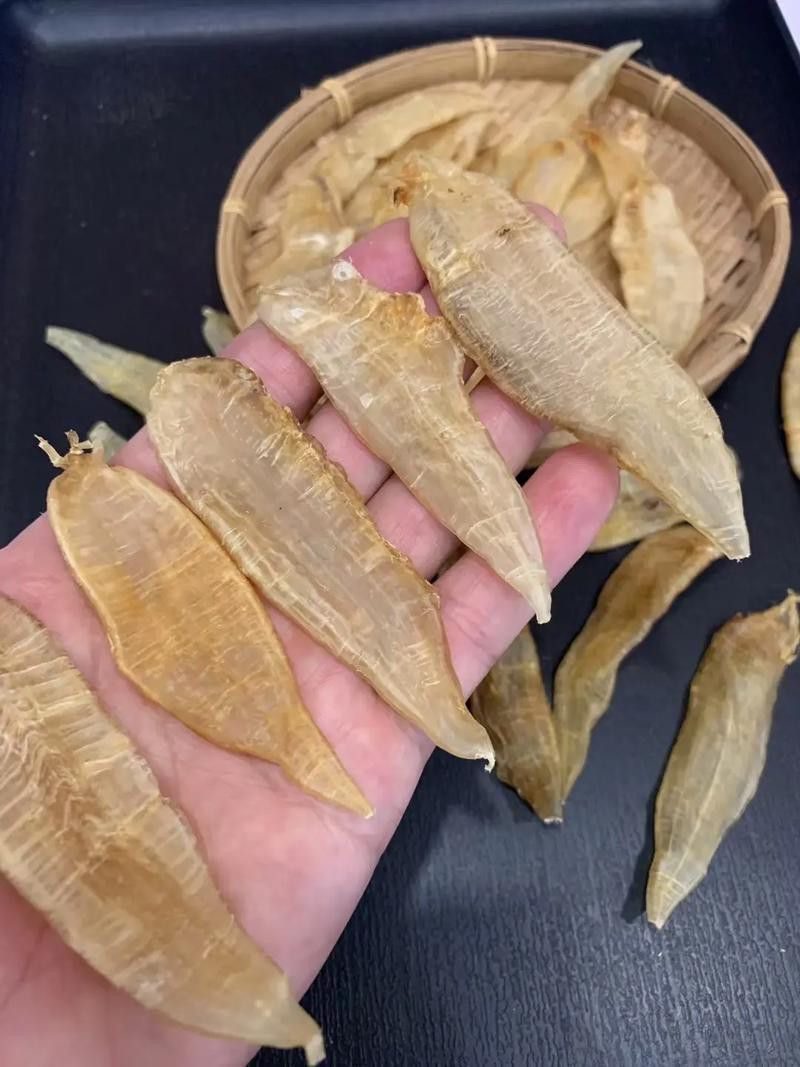 正宗金龍魚膠圖片大全高清