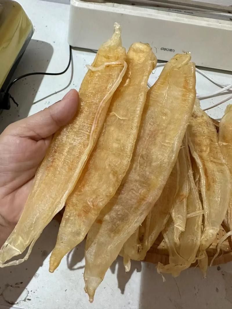 正宗金龍魚膠圖片大全高清
