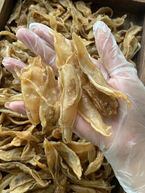 正宗金龍魚膠圖片大全高清