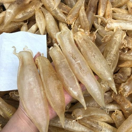 正宗金龍魚膠圖片大全高清