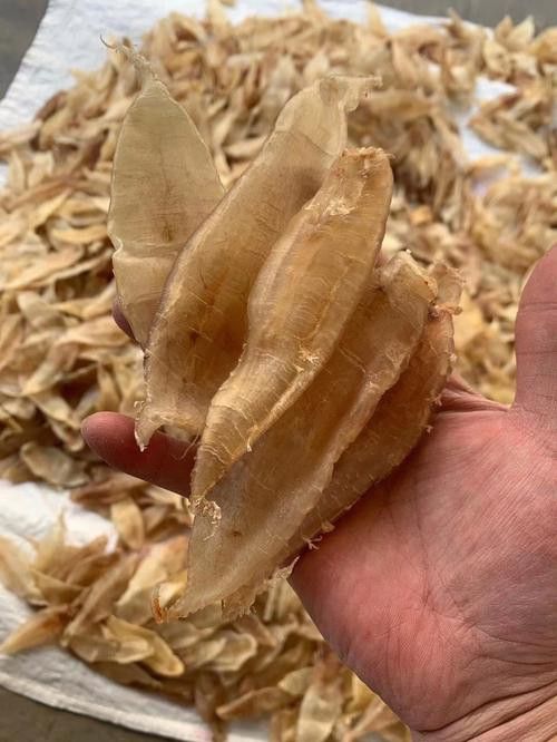 正宗金龍魚膠圖片大全高清