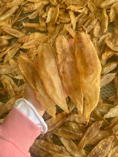 正宗金龍魚膠圖片大全高清