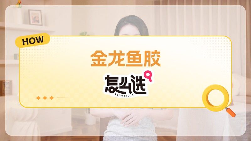正宗金龍魚膠圖片大全高清