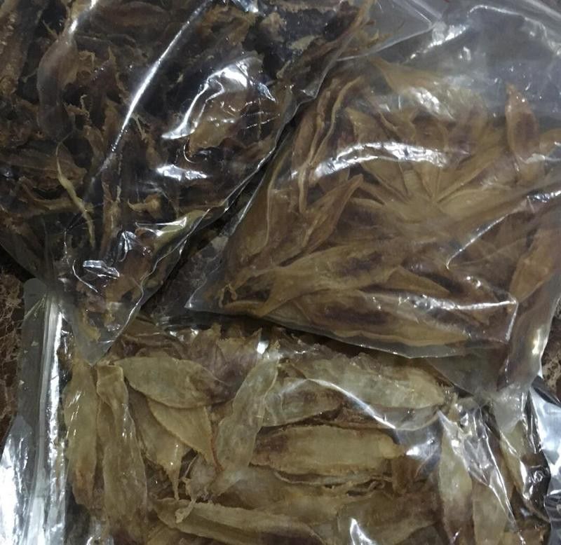 正宗金龍魚膠圖片大全高清