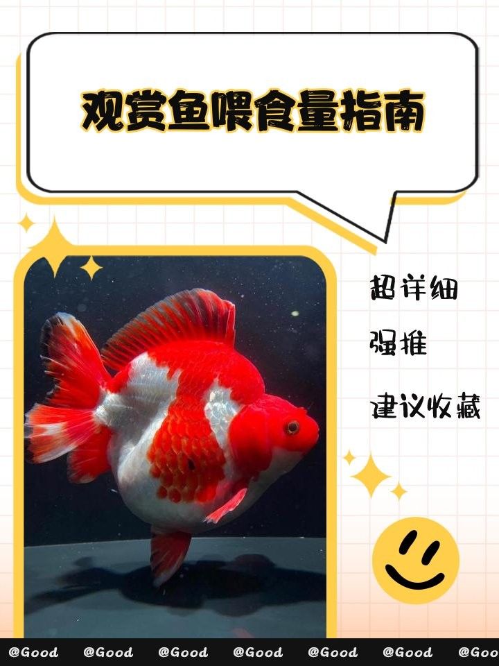 龍魚混養的最佳搭配是什么魚：龍魚混養的最佳搭配 龍魚混養的最佳搭配是什么魚：龍魚混養的最佳搭配 水族問答 第10張