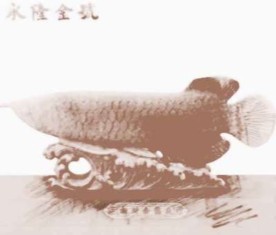 金龍魚(yú)擺件的擺放有講究嗎：招財(cái)龍魚(yú)擺件如何擺放