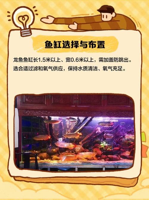龍魚最終都會掉眼嘛圖片