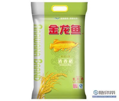 金龍魚銷量怎么樣啊知乎（金龍魚在市場上的銷量表現如何？）