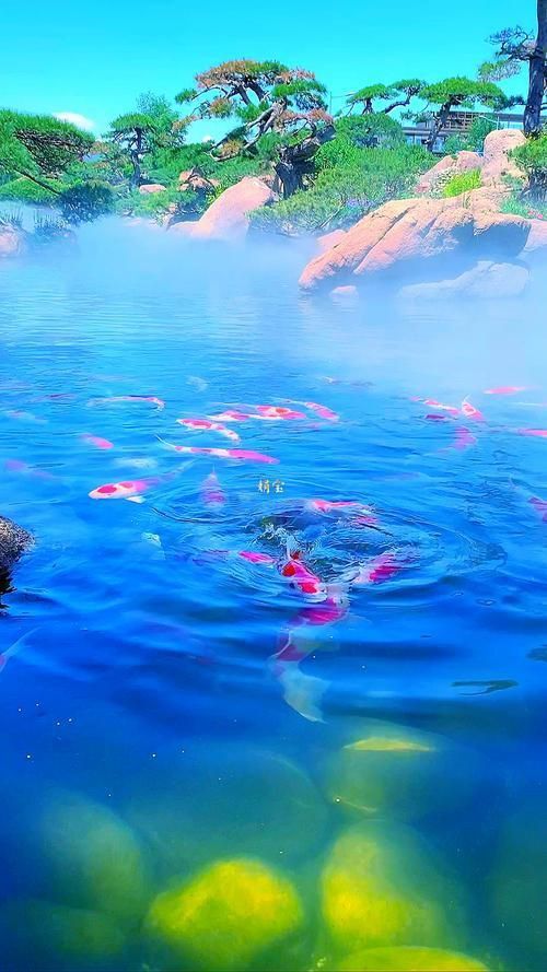 有水有魚的手機壁紙