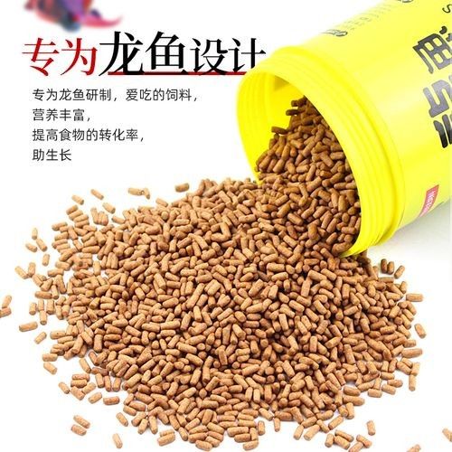 龍魚飼料魚怎么處理干凈圖片