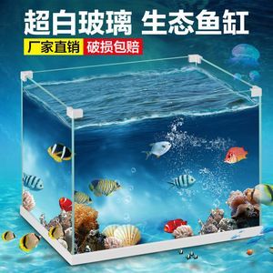 森森魚缸app下載（如何設置森森魚缸app自動時段？）