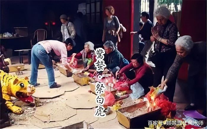 老虎在玄學里代表什么