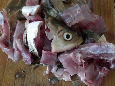 龍魚可以喂給龍魚嗎：生魚肉可以喂給龍魚嗎