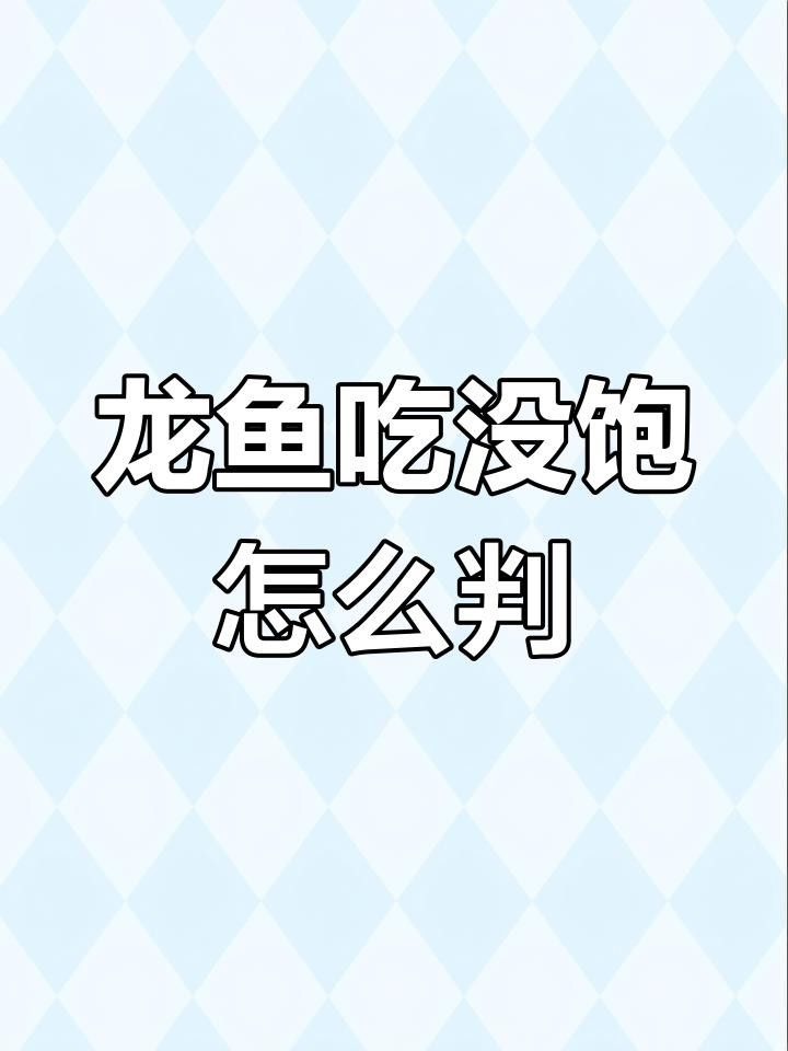 如何判斷龍魚是否饑餓？