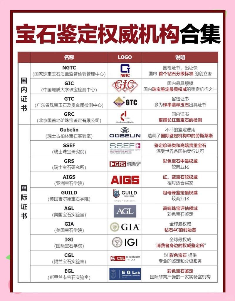 金龍魚膠是什么魚圖片視頻