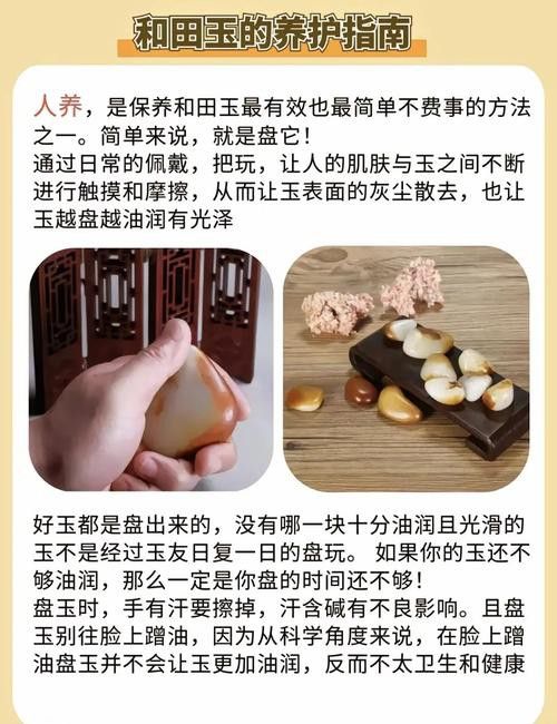 金龍魚膠是什么魚圖片視頻