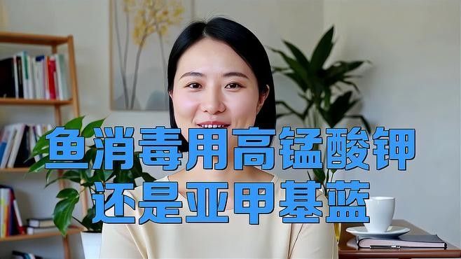龍魚撞缸后如何消毒魚缸？