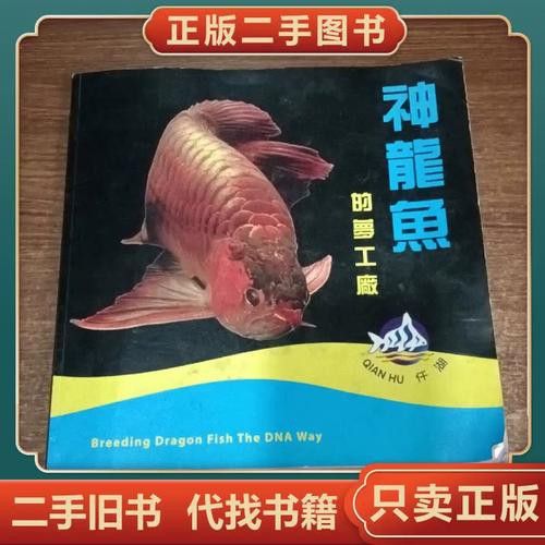 神龍魚圖片大全高清