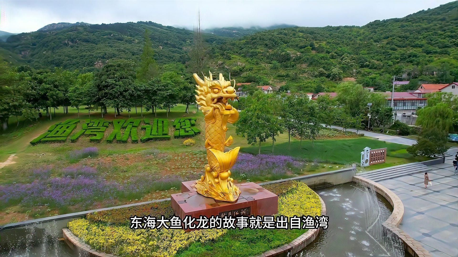 神龍魚圖片大全高清