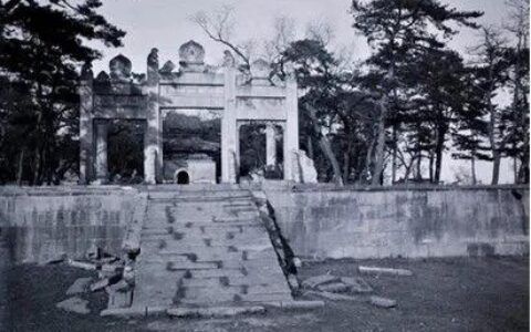 金龍魚一般吃什么東西（金龍魚如何挑選活餌）