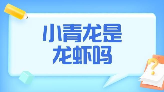 龍蝦和小青龍的區別