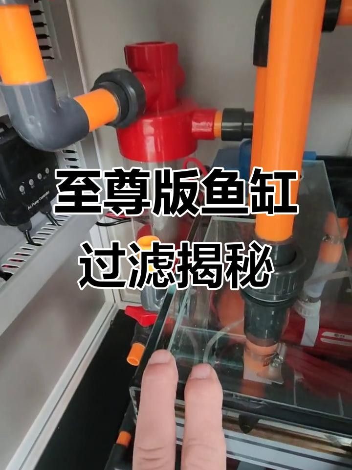 高端龍魚缸的品牌推薦