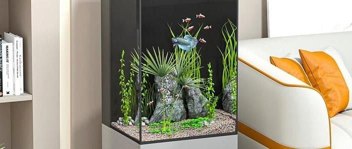 高端龍魚缸的品牌推薦