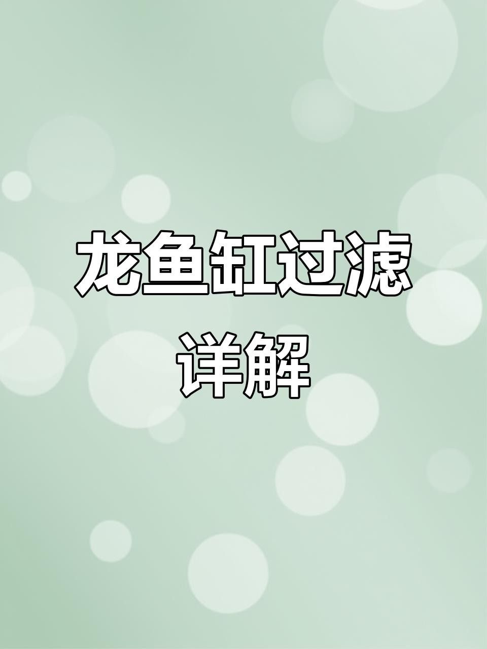 高端龍魚缸的品牌推薦