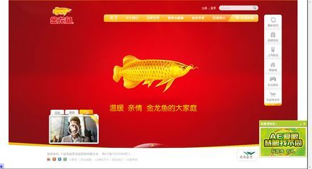 金龍魚運輸后翻肚皮會死嗎：金龍魚運輸后翻肚皮會死嗎金龍魚運輸后會死嗎