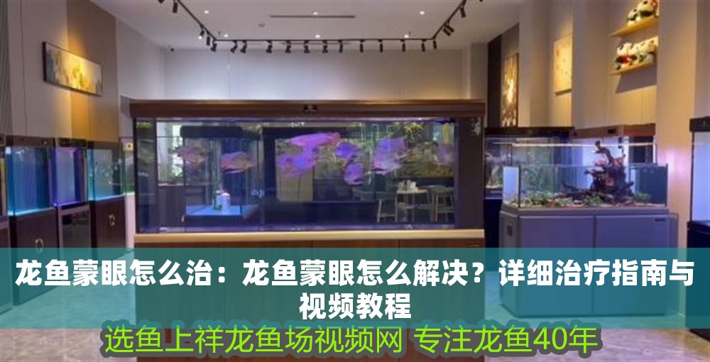 龍魚蒙眼怎么治：龍魚蒙眼怎么解決？詳細治療指南與視頻教程