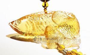 頂級金龍魚價格（金龍魚價格為什么那么貴金龍魚價格多少錢一條）