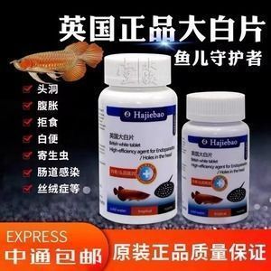 大白片的用法和用量龍魚的區別：龍魚大白片使用方法和用量