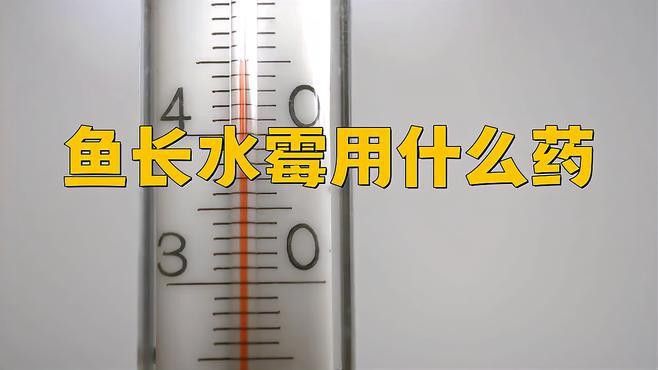 哪種藥物治療龍魚水霉病最有效？